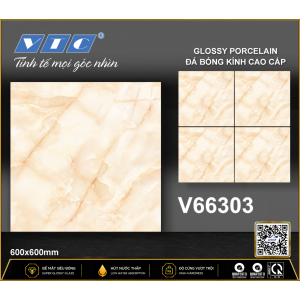 V66303