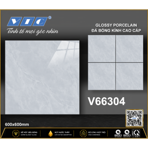 V66304