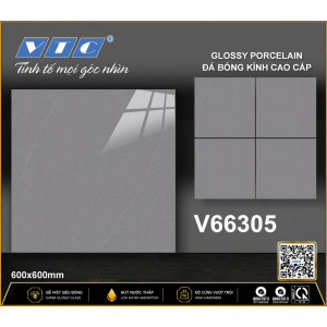 V66305