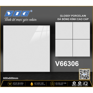 V66306
