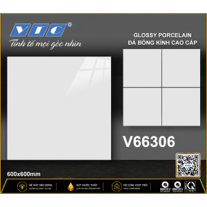 V66306