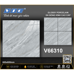 V66310