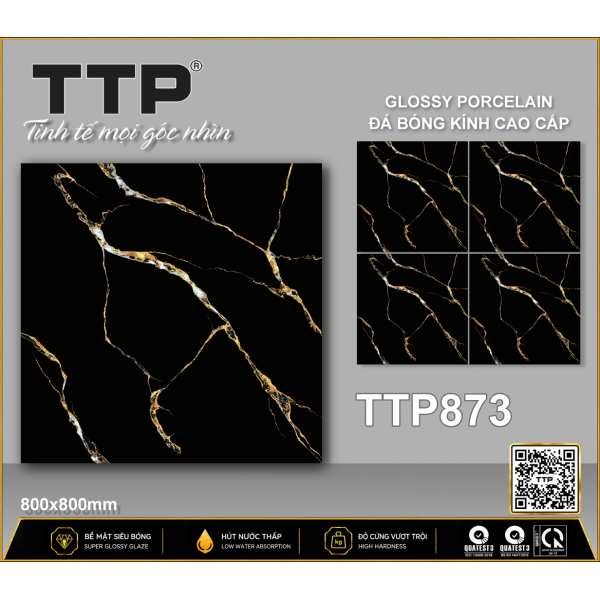 TTP873